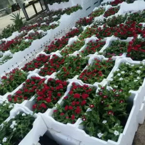 0659 اسس الاعمال سندوتش بانل ومظلات | تنسيق حدائق