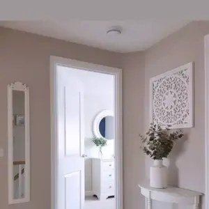 اسس الاعمال سندوتش بانل ومظلات | دهانات