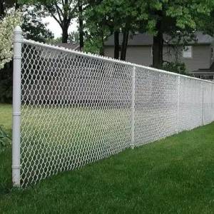 0930 اسس الاعمال سندوتش بانل ومظلات | شبوك