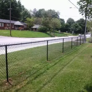 0934 اسس الاعمال سندوتش بانل ومظلات | شبوك